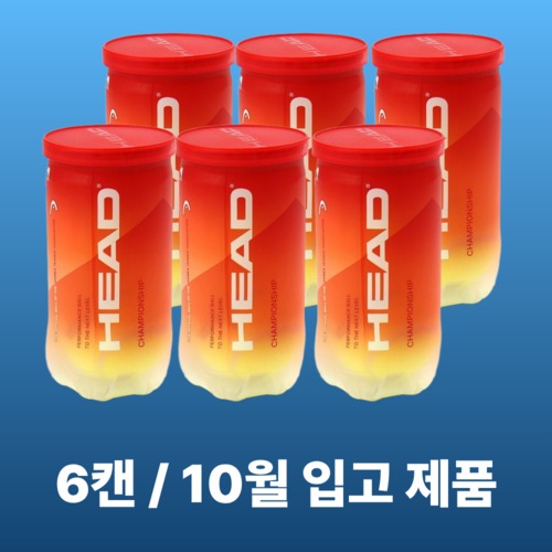 헤드 테니스공 챔피온쉽